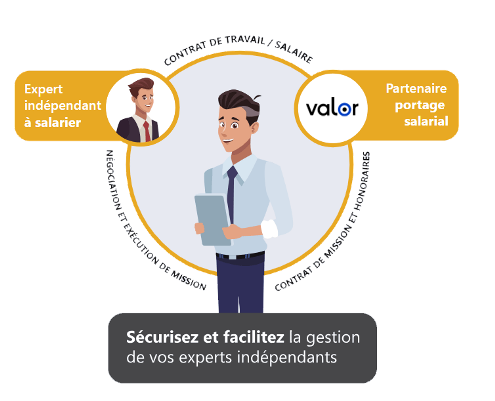 schema - tripartite valor